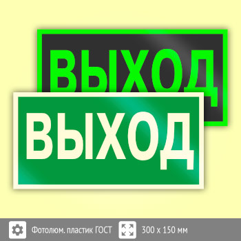 Знак E22 «Указатель выхода» (фотолюминесцентный пластик ГОСТ Р 12.2.143–2009, 300х150 мм)